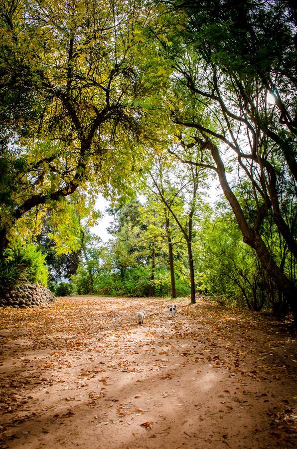 سيتروسدال Ukholo Lodge المظهر الخارجي الصورة